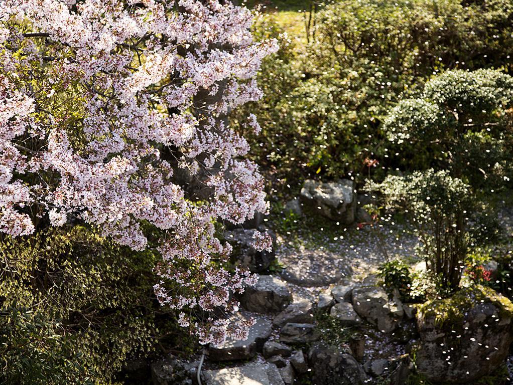 Nanten-En Kawachinagano Exteriér fotografie